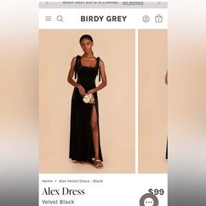 Birdy Grey Velvet Black Maxi Dress